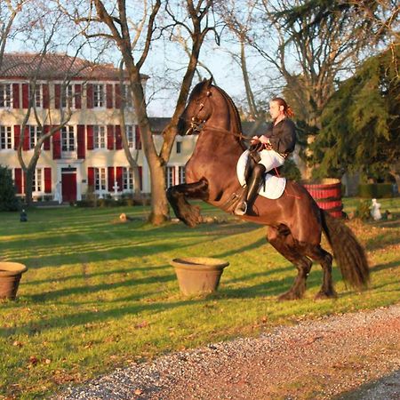 Le Relais Du Silence Chateau Lavail Labastide-dʼAnjou المظهر الخارجي الصورة