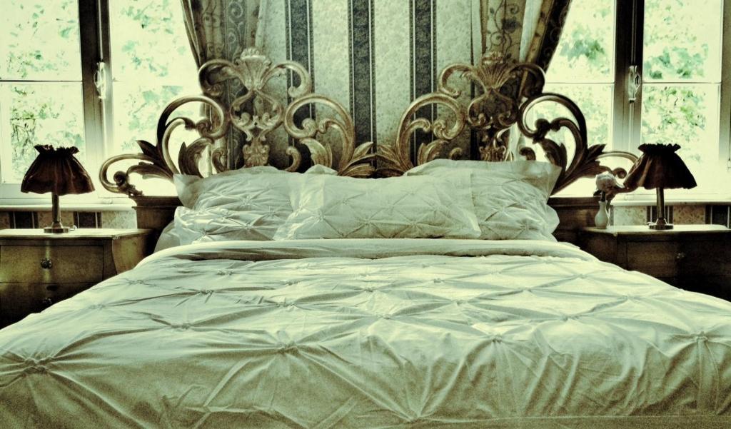 Le Relais Du Silence Chateau Lavail Labastide-dʼAnjou الغرفة الصورة