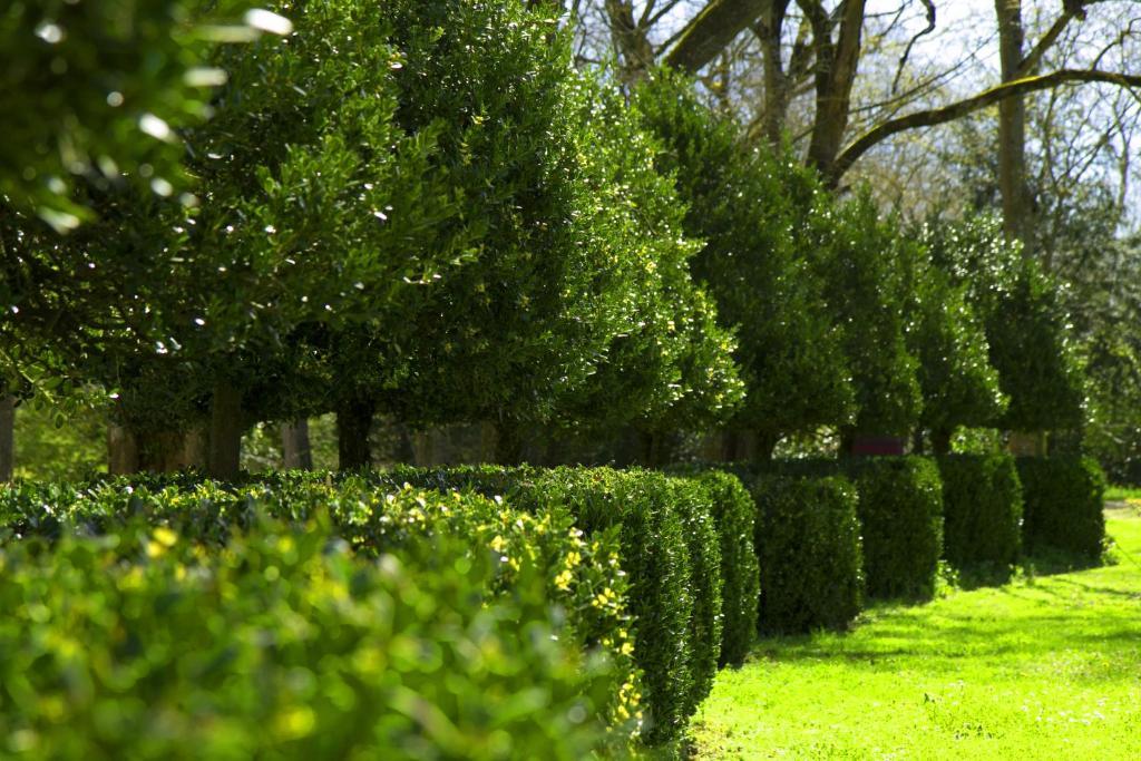 Le Relais Du Silence Chateau Lavail Labastide-dʼAnjou المظهر الخارجي الصورة